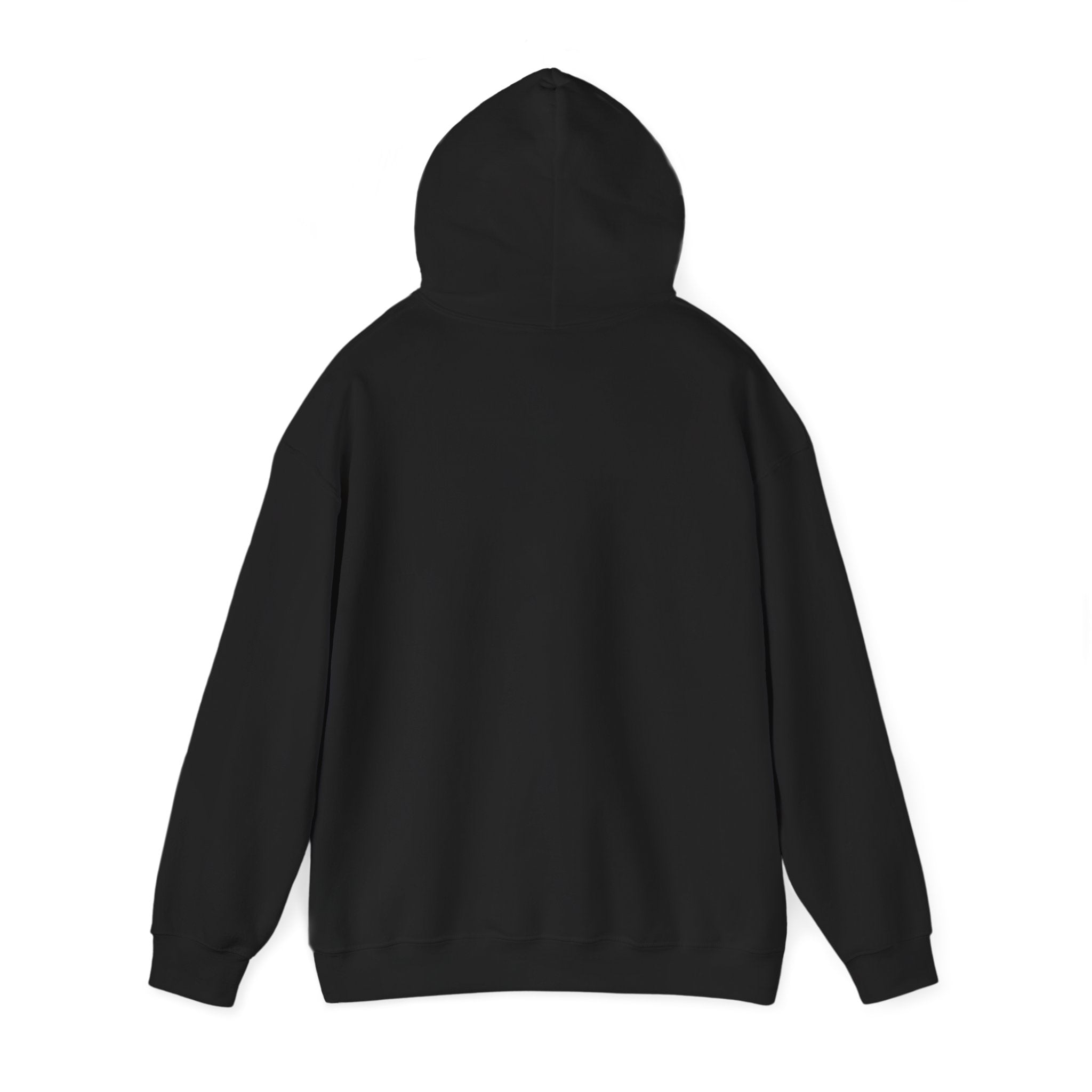 FROZ-T Sunset Over The P — Black Hoodie